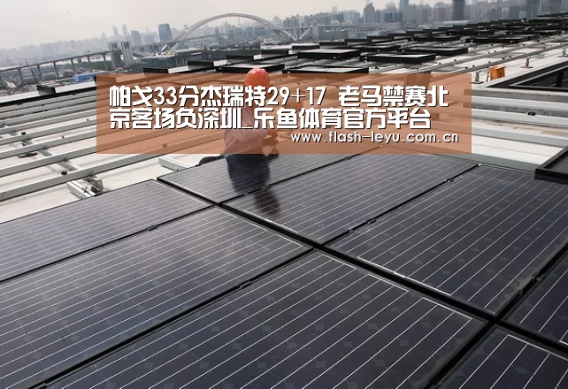 乐鱼体育官方网站入口