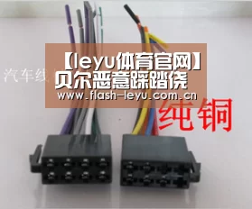 【leyu体育官网】贝尔恶意踩踏侥幸逃牌 皇马成5大联赛10年点球王(图1) leyu体育官网